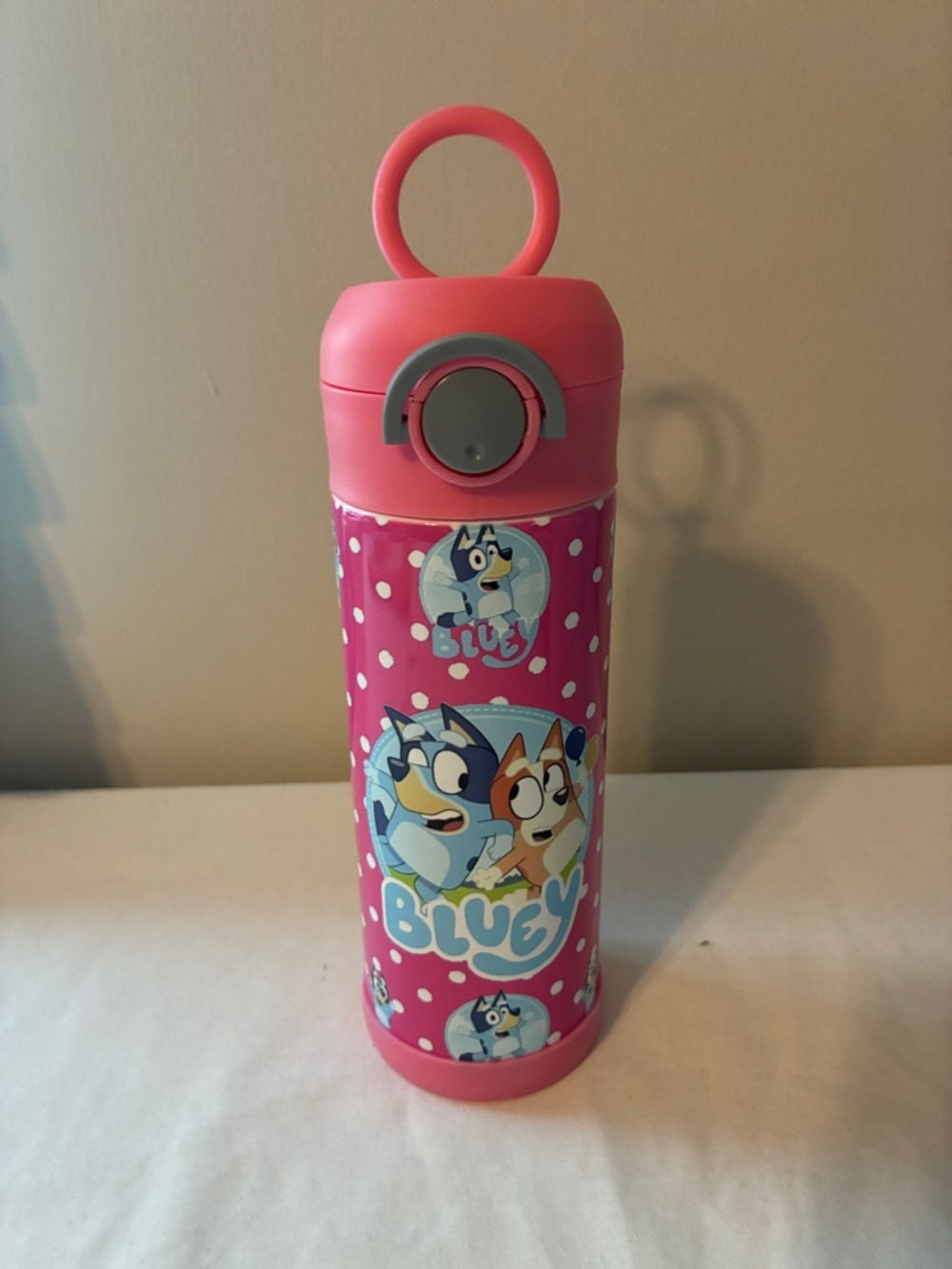 Pink Kids Water Bottle with Bluey and Bingo print